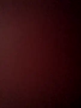 Treemandude online show from 10/25/25, 06:34