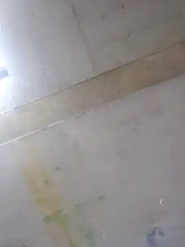 Manolete007x online show from 02/11/26, 11:26