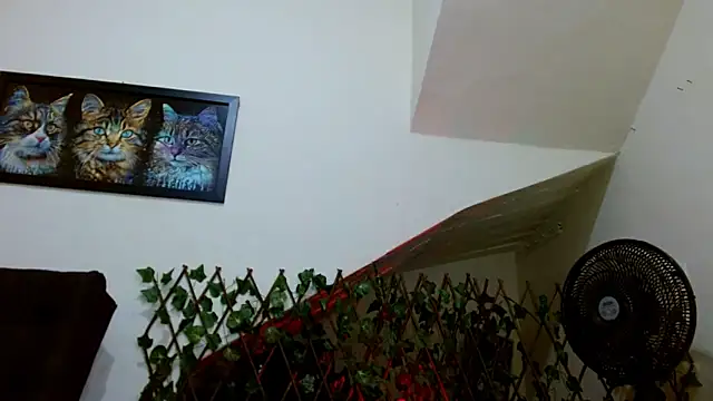 lady scarlettt online show from 02/23/25, 04:39
