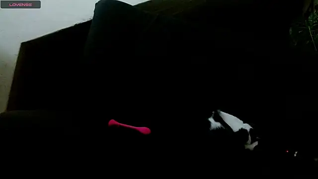 lady scarlettt online show from 02/18/25, 04:25