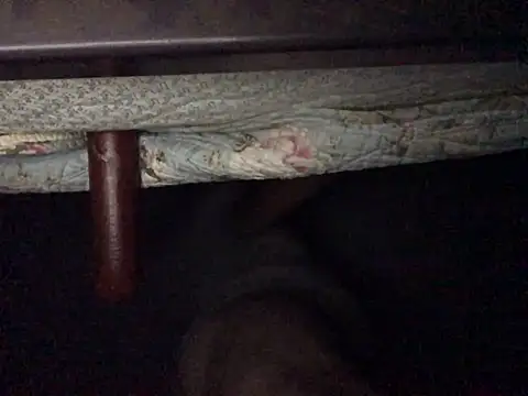 Nodsride online show from 07/12/26, 04:24