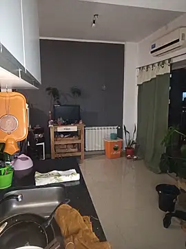stupid babybird online show from 05/25/26, 11:36
