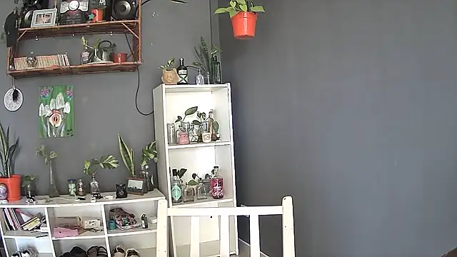 stupid babybird online show from 03/05/25, 08:32