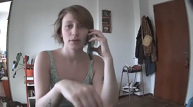 stupid babybird online show from 12/20/24, 09:06