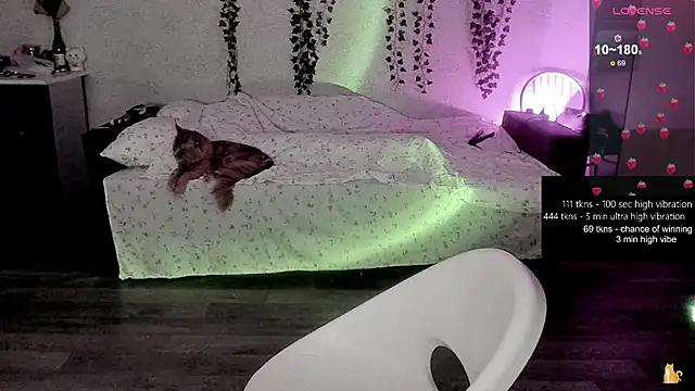 strawberry elfcat online show from 02/20/26, 01:24