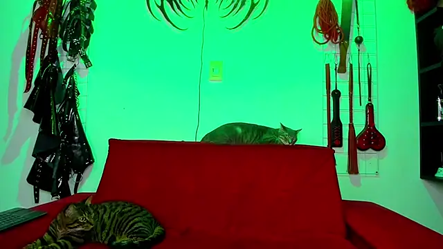 irregular fetish  online show from 02/26/26, 07:47