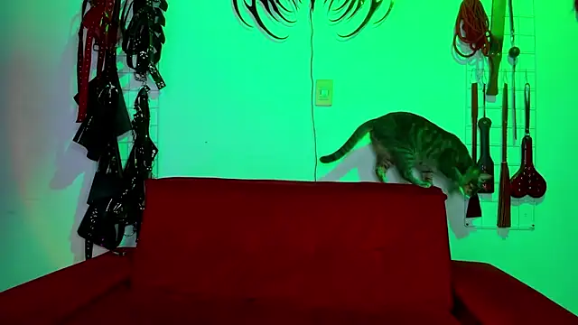 irregular fetish  online show from 02/19/26, 07:00