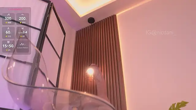 Snapshot of nicdani_1 chatting on 11/14/25, 12:03 nicdani 1 online show from 11/14/25, 12:03