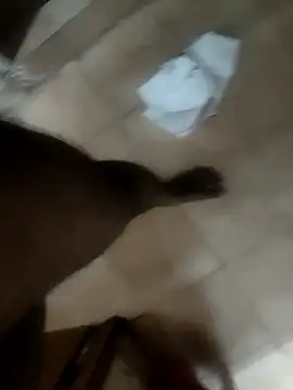 Mady1315 online show from 03/18/25, 05:33