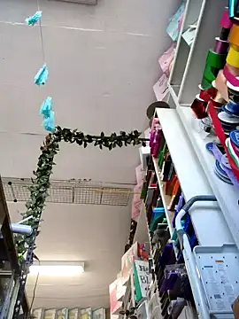 Snapshot of Mia_Novikov chatting on 10/04/25, 08:10 Mia Novikov online show from 10/04/25, 08:10