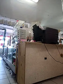 Mia Novikov online show from 02/24/26, 10:21