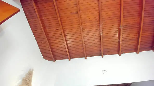 sofhiaa adaams online show from 11/15/25, 08:57