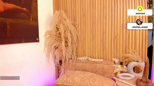 sofhiaa adaams online show from 02/25/26, 10:31