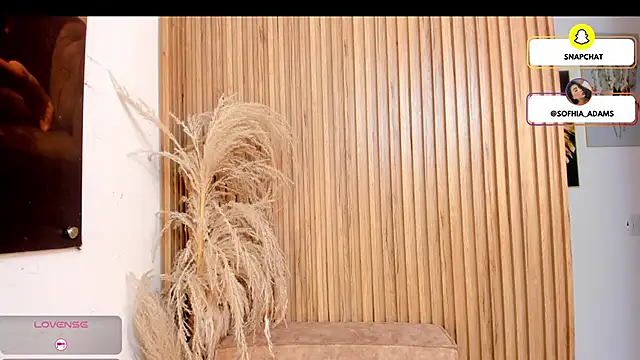 sofhiaa adaams online show from 02/22/26, 05:14