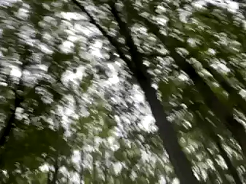 lookin4excitement23 online show from 09/10/25, 10:20