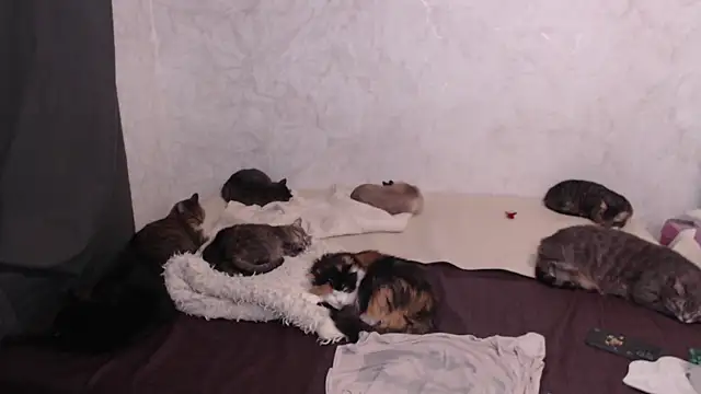 Olivia Winston online show from 01/13/26, 04:22