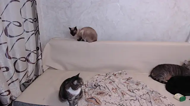 Olivia Winston online show from 10/27/25, 10:54