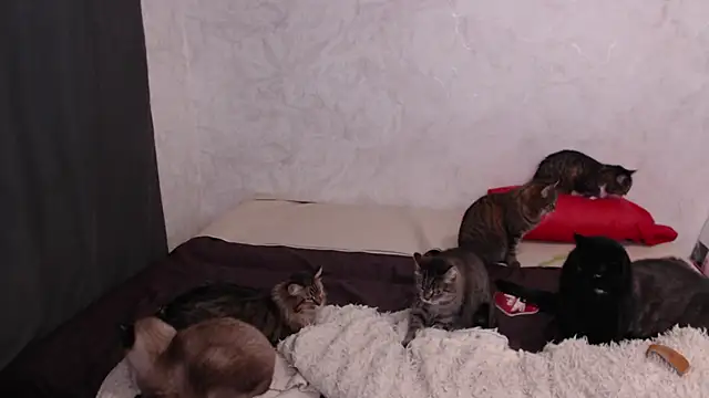 Olivia Winston online show from 02/09/26, 03:48