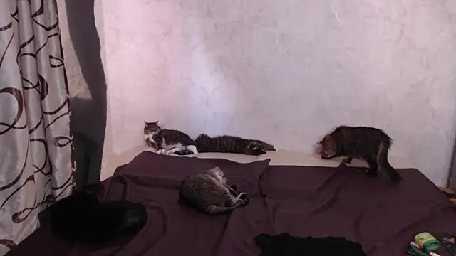 Olivia Winston online show from 03/28/26, 01:45