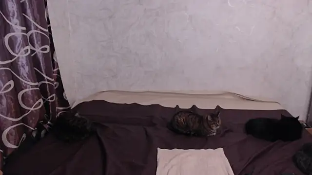 Olivia Winston online show from 04/10/26, 02:40