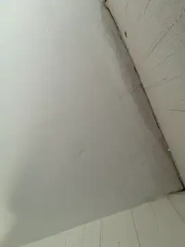 elninoblacko online show from 02/08/26, 03:10