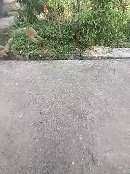 ind hero online show from 10/31/25, 10:12