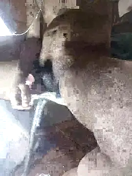 Goodman4usexy online show from 03/10/26, 11:53