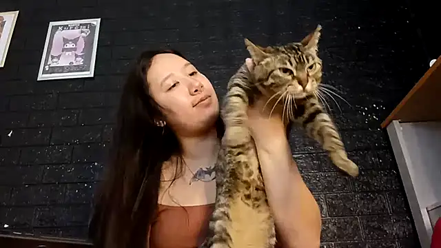 Japabaixinha online show from 11/18/25, 11:13