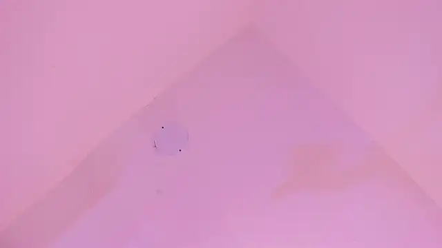 Snapshot of LoveQueen2 chatting on 01/14/26, 11:58 LoveQueen2 online show from 01/14/26, 11:58