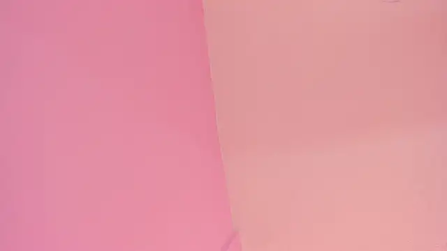 Snapshot of LoveQueen2 chatting on 12/01/25, 11:55 LoveQueen2 online show from 12/01/25, 11:55