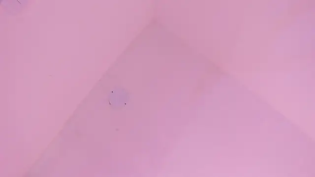 Snapshot of LoveQueen2 chatting on 01/10/26, 11:49 LoveQueen2 online show from 01/10/26, 11:49