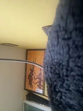 Snapshot of 111pervertido chatting on 02/23/26, 09:10 111pervertido online show from 02/23/26, 09:10