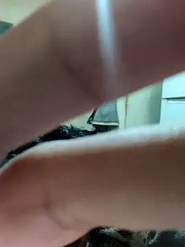 khema99 online show from 01/12/26, 10:03