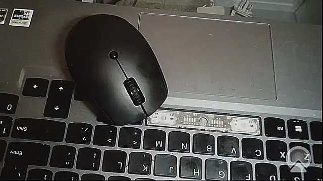 EXOTICLEXXXI online show from 02/14/26, 03:23