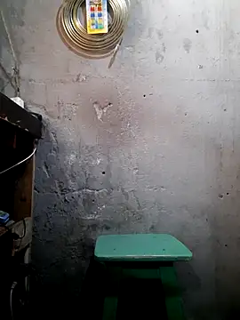 hecwil8 online show from 12/17/25, 03:17