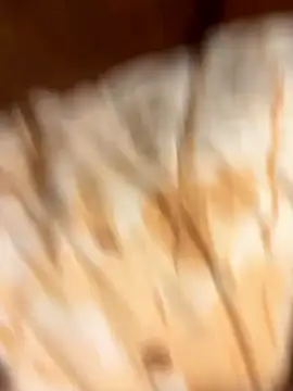 gigetto1977 online show from 01/07/26, 02:33