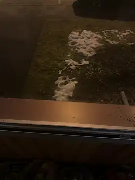 0xxxeexxx0 online show from 01/23/25, 09:07