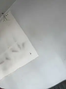 AnaRuiz online show from 11/22/25, 03:22