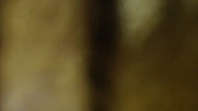 Sophia your online show from 03/27/26, 06:22