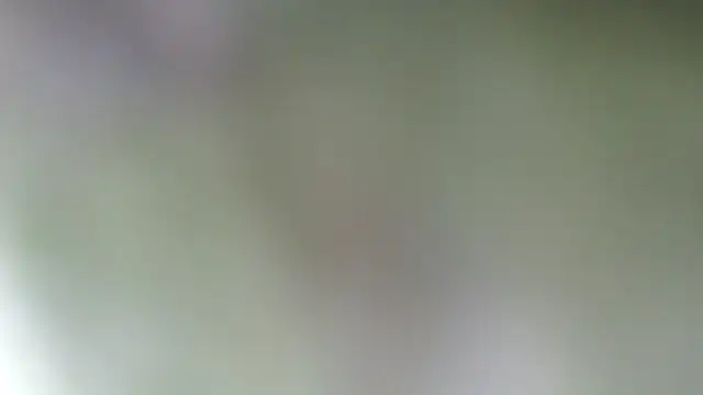 Sophia your online show from 03/18/25, 07:44
