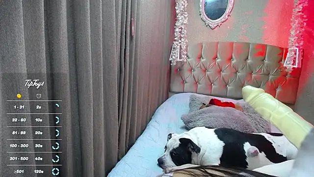 Snapshot of Dreams_sophi chatting on 07/05/26, 11:55 Dreams sophi online show from 07/05/26, 11:55