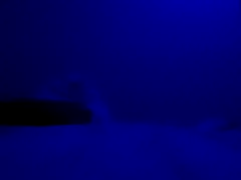 Blkstylion online show from 11/27/25, 08:20