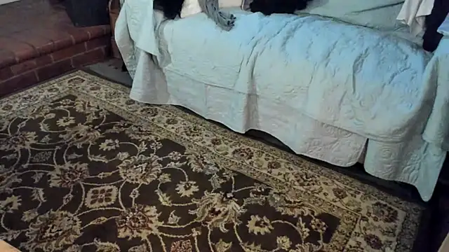 Dark Asteroid online show from 12/21/25, 03:03