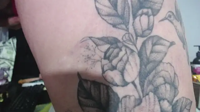 thalia tits online show from 02/26/26, 11:27