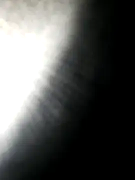 hotdog4you2 online show from 10/16/25, 09:56