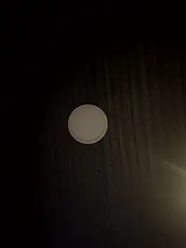 Amareto  online show from 01/13/26, 10:08