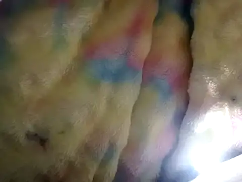 Moreno1813 online show from 03/15/25, 02:55