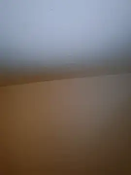 molozeb online show from 12/19/25, 08:55