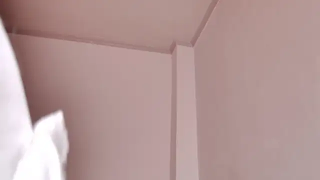 caarlywhitee online show from 02/12/26, 01:49