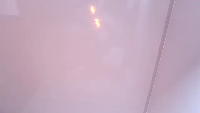 caarlywhitee online show from 02/13/26, 12:54